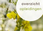 Klein overzicht opleidingen_1